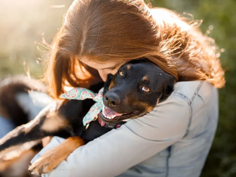 Integrating Animal-Assisted Social Work: A Transformative Tool for Mental Health Professionals in Denver